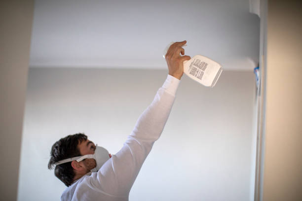 Best Post-Flood Mold Remediation in Apple Valley, MN